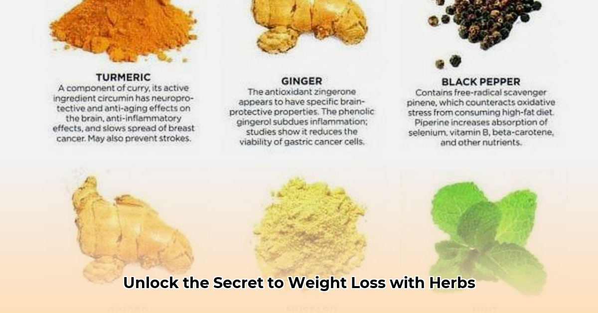 chinese-herbs-and-weight-loss